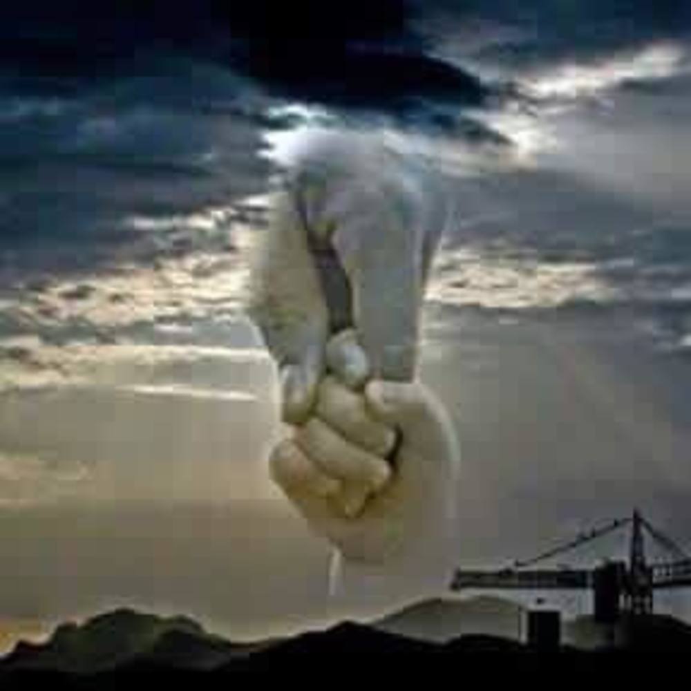 Meet your Posher, Sandy